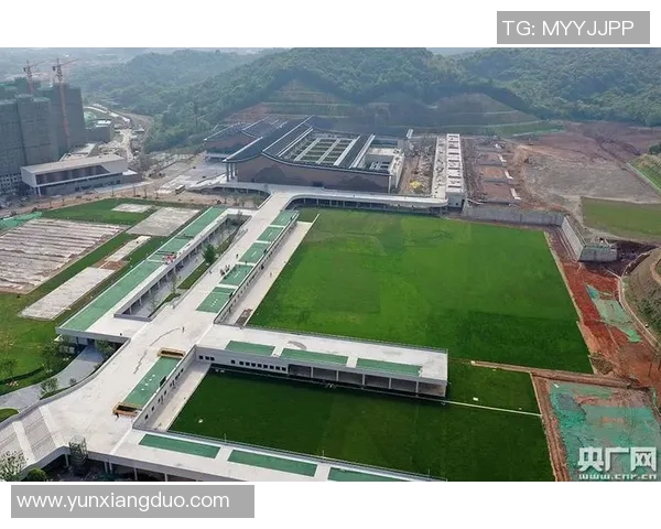 武汉篮球队在亚运会的拼搏历程与荣耀时刻全景回顾